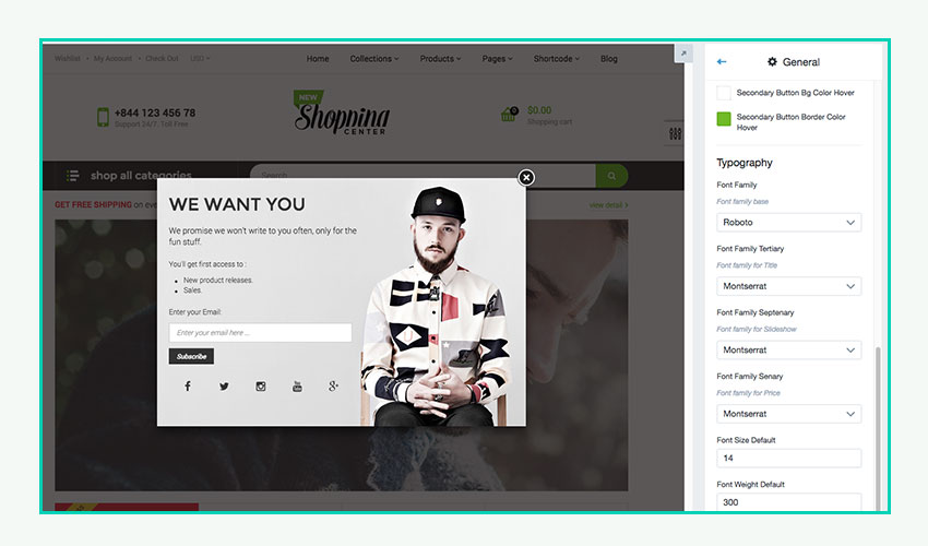 how-to-manager-font-in-shopify-theme